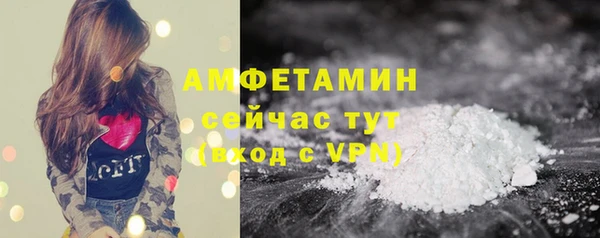 гашик Алзамай