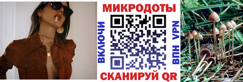 Галлюциногенные грибы прущие грибы  где купить наркоту  Лаишево 